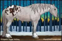 Horse Color:Bay Ice Appaloosa 