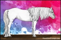 Horse Color:Silver Bay Roan Tobiano Appaloosa