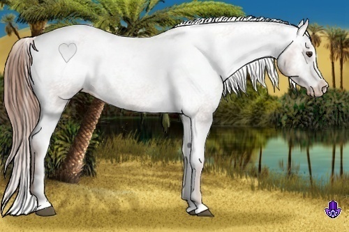 Horse Color:Chestnut Sabino Varnish