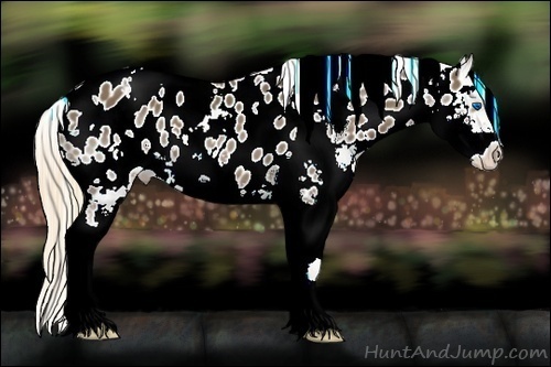 Horse Color:White Spotted Liver Chestnut Splash Appaloosa 