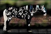 Horse Color:White Spotted Liver Chestnut Splash Appaloosa