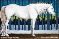 Horse Color:White Spotted Chestnut Splash Frame Appaloosa