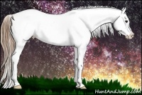Horse Color:Black Pearl Appaloosa