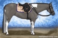 Horse Color:Grullo Tobiano