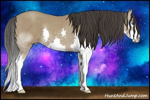 Horse Color:Classic Champagne Splash 