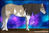 Horse Color:Classic Champagne Splash 