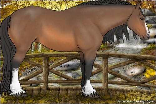 Horse Color:White Spotted Buckskin