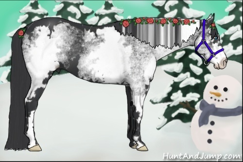 Horse Color:White Spotted Black Splash Frame 