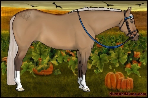Horse Color:Silver Bay Dun