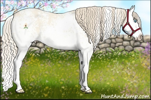 Horse Color:White Spotted Perlino Dun Splash 