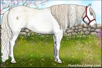 Horse Color:White Spotted Perlino Dun Splash 