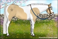 Horse Color:Silver Buckskin Dun Splash Tobiano 