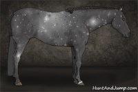 Horse Color:Smoky Black