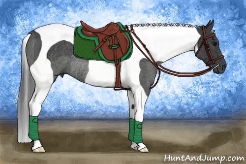 Horse Color:Black Tobiano Rabicano