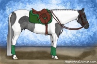 Horse Color:Black Tobiano Rabicano
