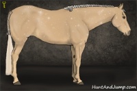 Horse Color:Palomino