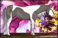Horse Color:Grullo Tobiano