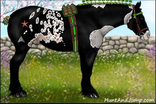 Horse Color:Brown Splash Tobiano Appaloosa 