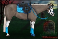Horse Color:Silver Black Splash