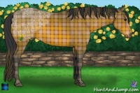 Horse Color:Plaid  Bay Ice 