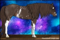 Horse Color:White Spotted Liver Chestnut 