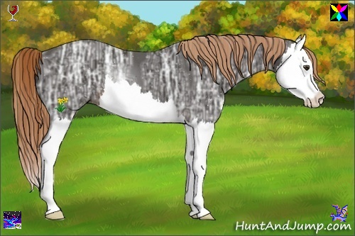 Horse Color:Liver Chestnut Ice Splash 