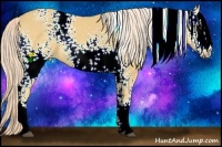 Horse Color:White Spotted Palomino 