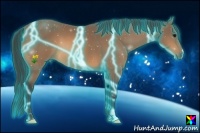 Horse Color:Thunderstruck Buckskin