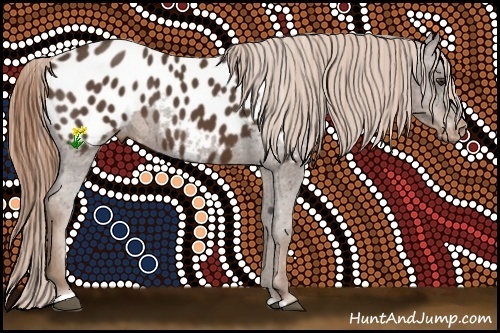 Horse Color:Liver Chestnut Sabino Appaloosa Rabicano 