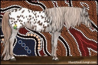 Horse Color:Liver Chestnut Sabino Appaloosa Rabicano