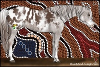 Horse Color:White Spotted Liver Chestnut Sabino Blanket 