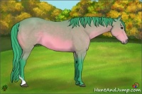 Horse Color:Watercolor Bay Tobiano