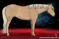 Horse Color:Palomino 