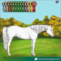 Horse Color:Silver Brown Dun Varnish Rabicano 