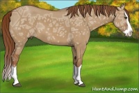 Horse Color:Red Dun Ice Splash