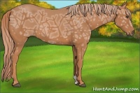 Horse Color:Chestnut Ice 