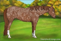 Horse Color:Chestnut Ice 