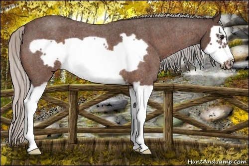 Horse Color:Silver Bay Roan Splash Frame 