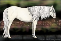 Horse Color:Silver Amber Cream Champagne Pearl Dun