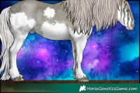 Horse Color:Silver Black Ice Splash Rabicano 