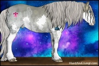 Horse Color:Silver Black Ice Splash Rabicano