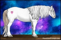 Horse Color:White Spotted Red Dun Splash Varnish 