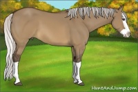 Horse Color:Silver Brown Dun Splash 