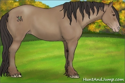 Horse Color:Classic Champagne 