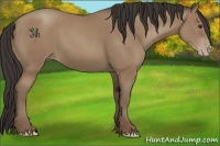 Horse Color:Classic Champagne 