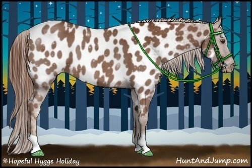 Horse Color:Chestnut Appaloosa