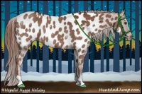 Horse Color:Chestnut Appaloosa 