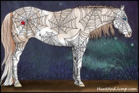Horse Color:Buckskin Pearl Splash Blanket