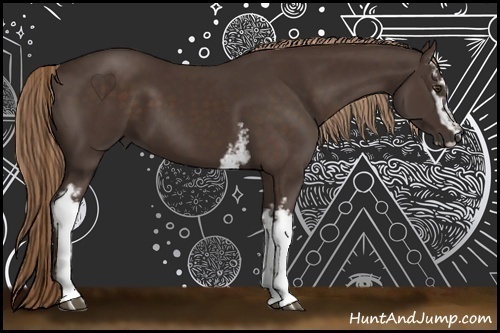 Horse Color:White Spotted Liver Chestnut Sabino