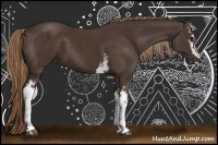 Horse Color:White Spotted Liver Chestnut Sabino